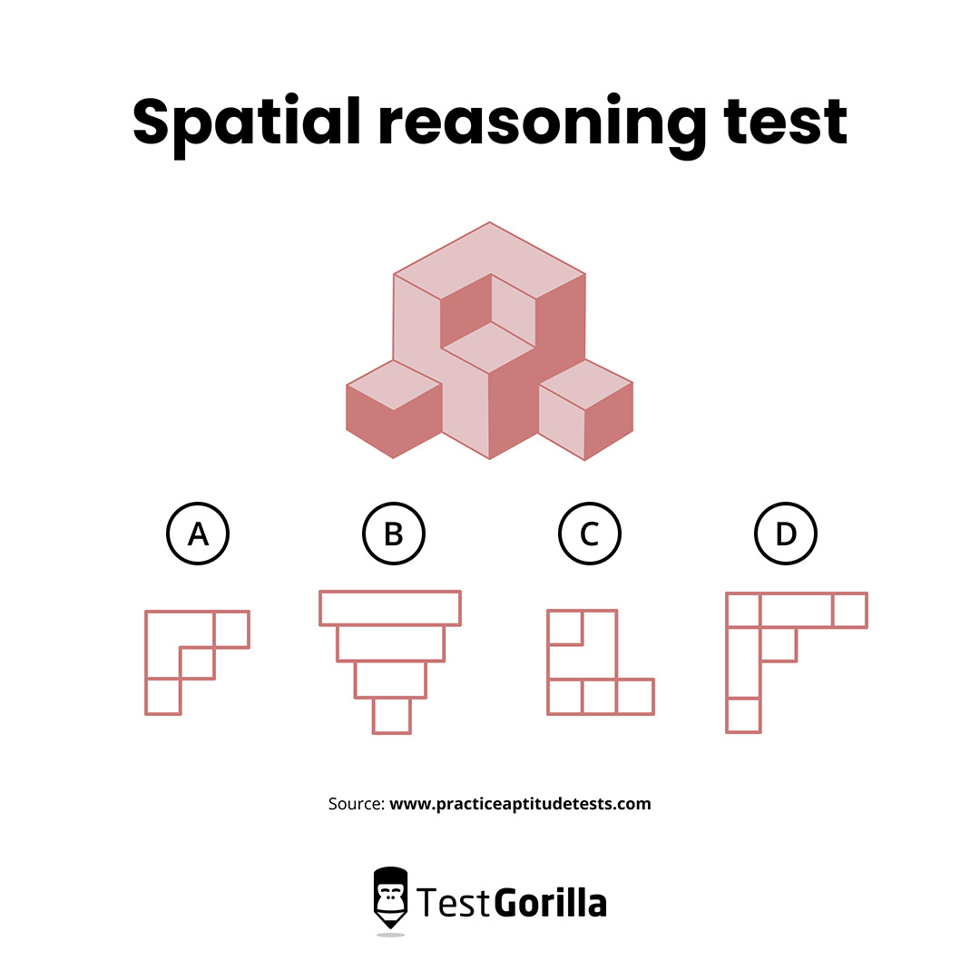 Spatial reasoning test by TestGorilla screenshot