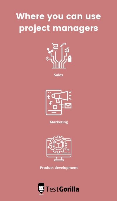 Project management assessment