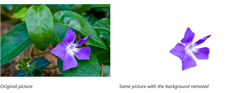screenshot of how to remove the background of a picture in PowerPoint