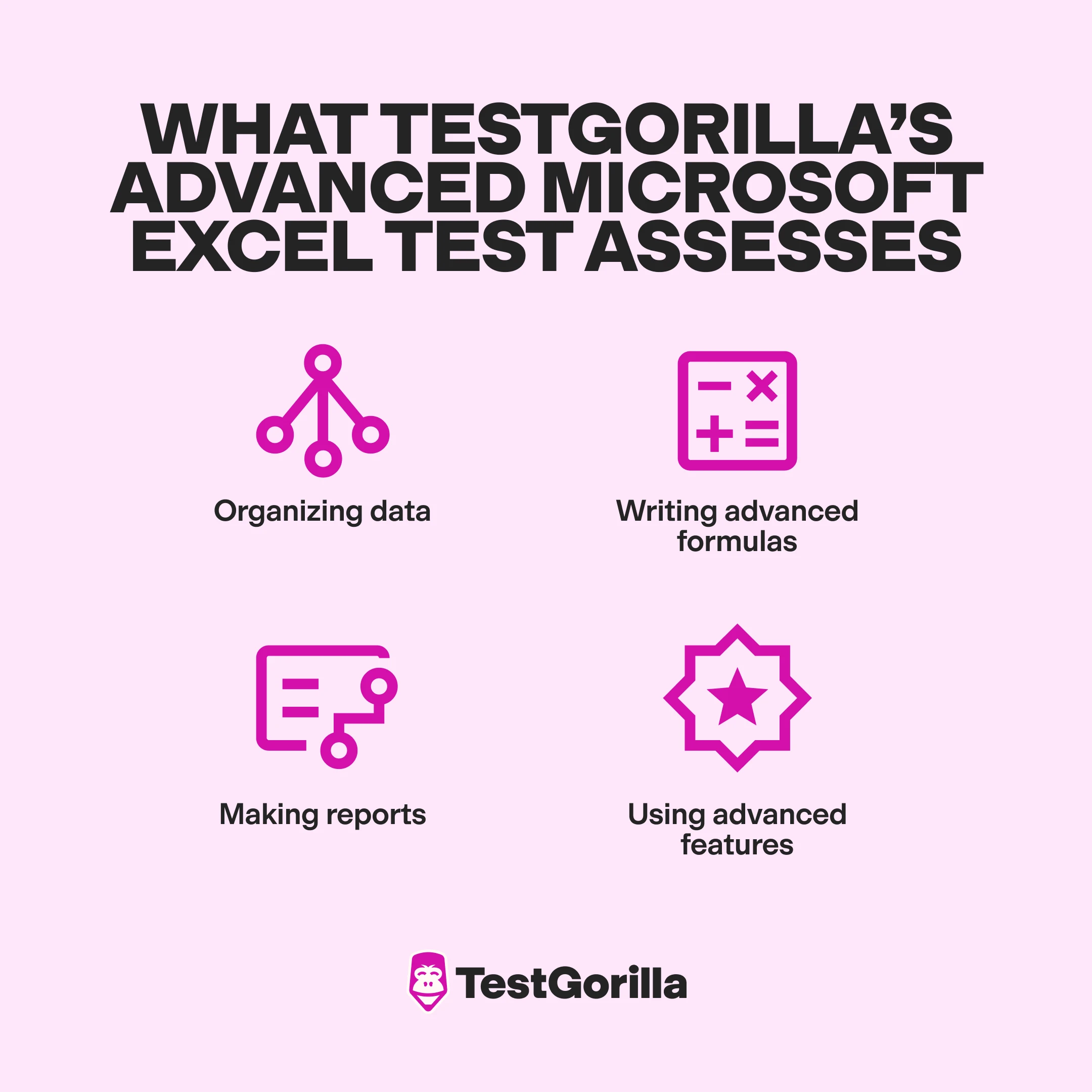 What TestGorilla's advanced Microsoft Excel test assesses graphic