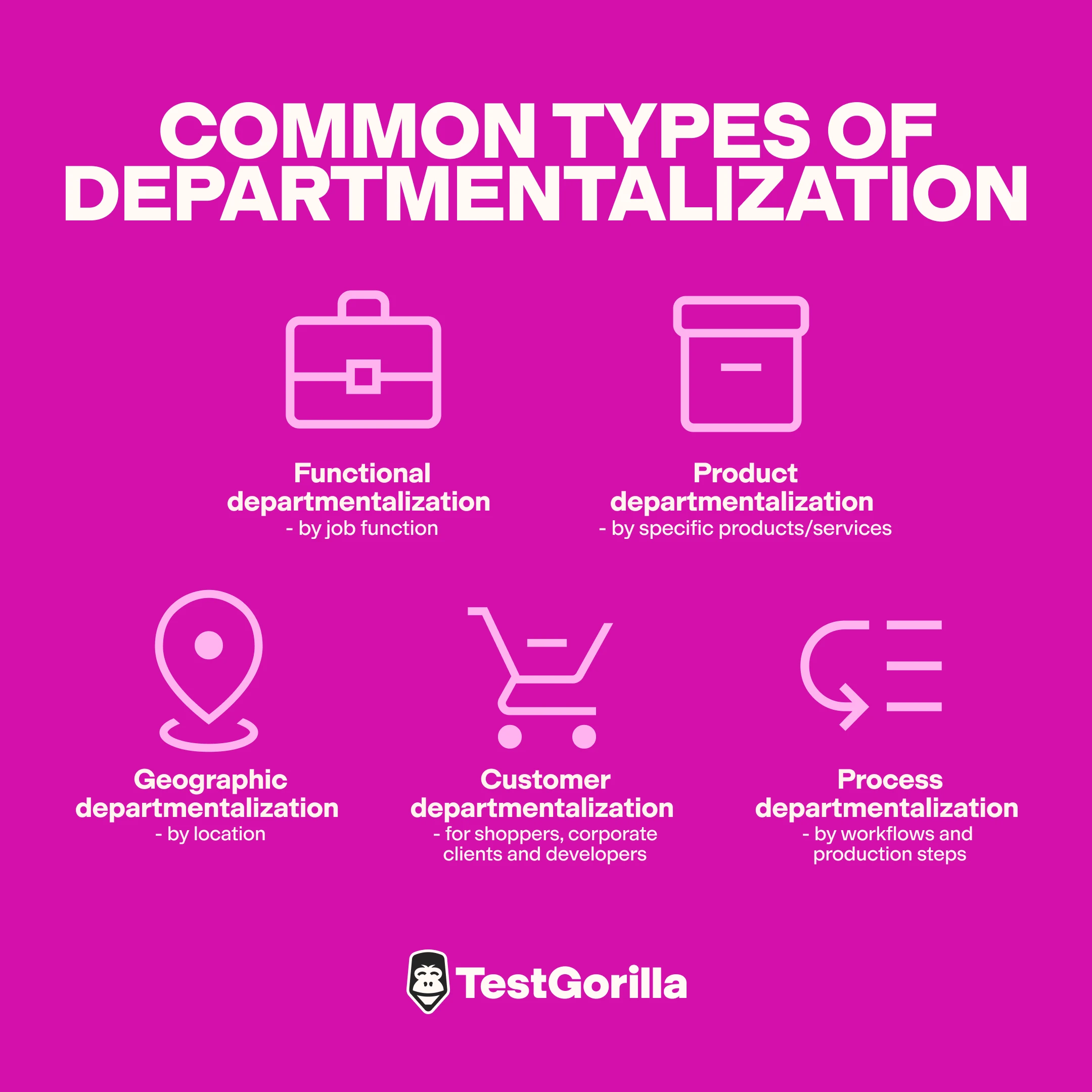 common types of departmentalization graphic