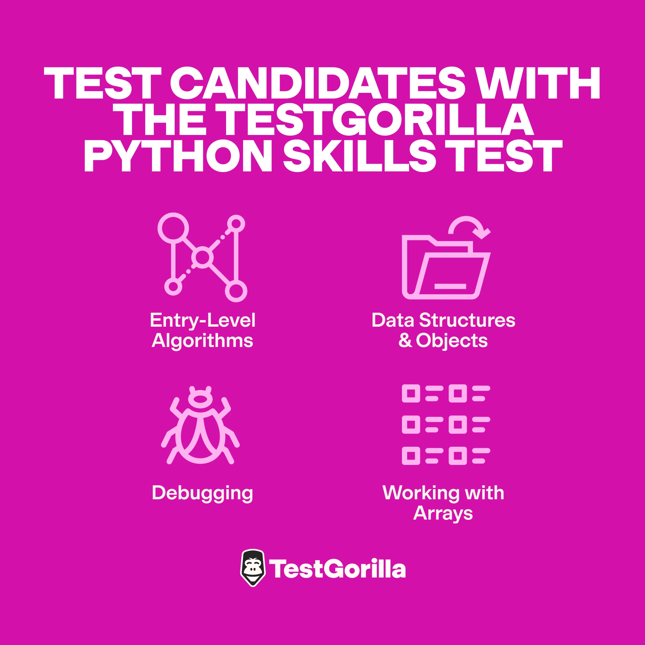 areas can you test candidates with the TestGorilla Python skills test