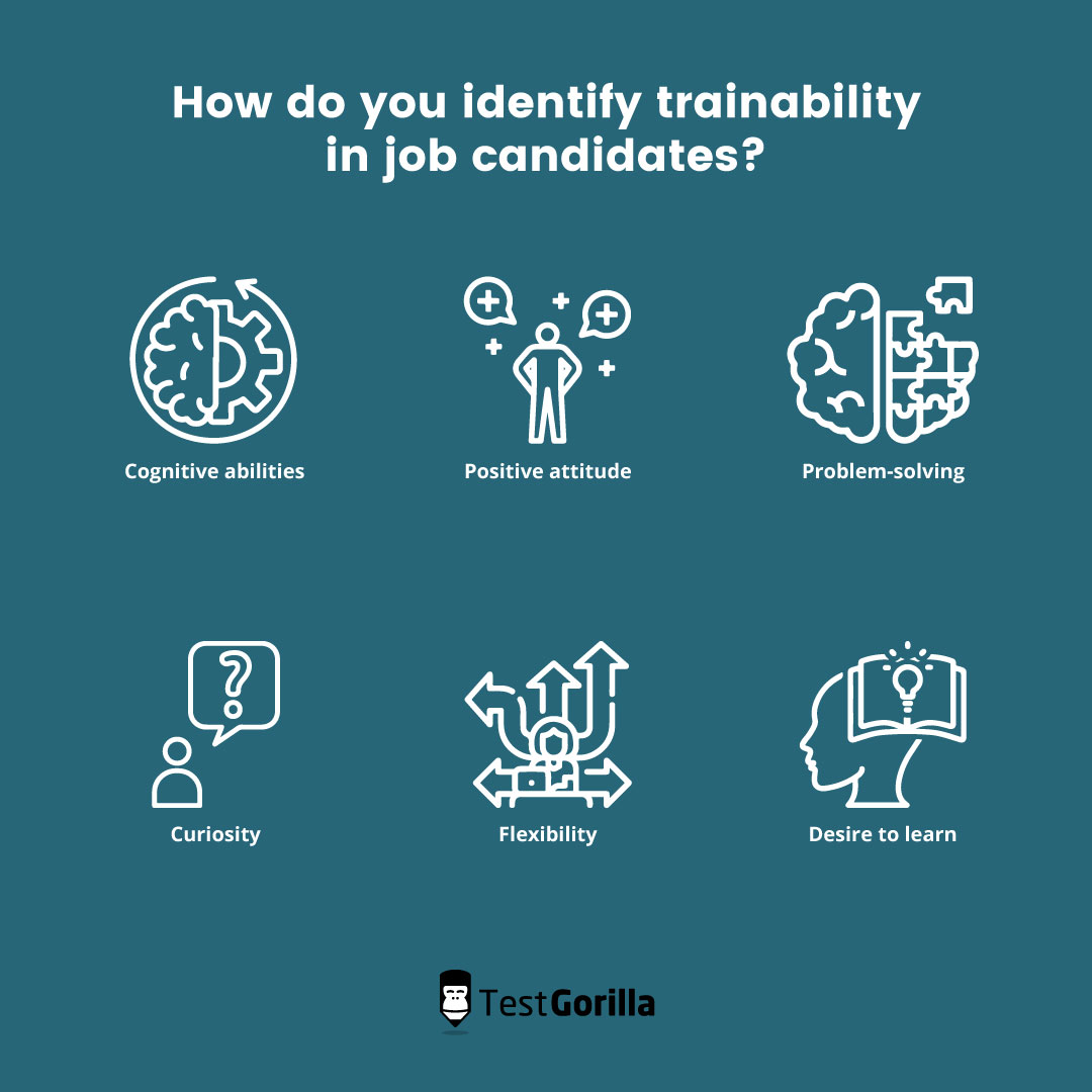 Top trainability traits to look for to find the most suitable candidate