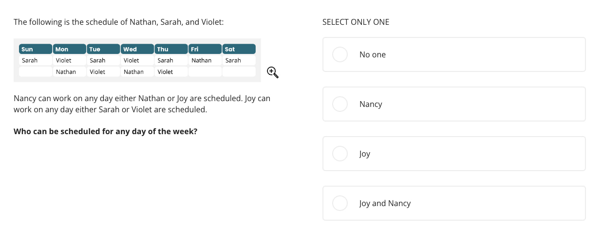 problem solving test example by TestGorilla screenshot