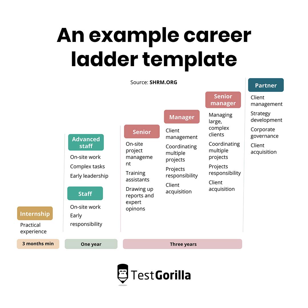 example of a career ladder template
