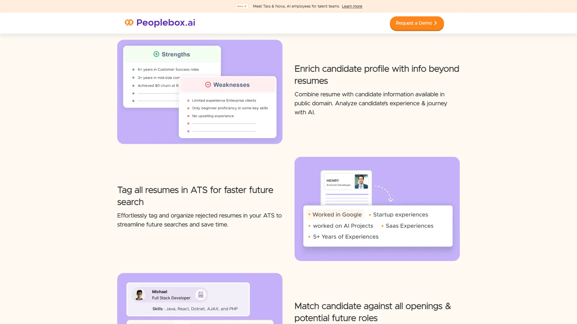 Images showing a list of candidates strengths and weaknesses and tags for a resume from their website