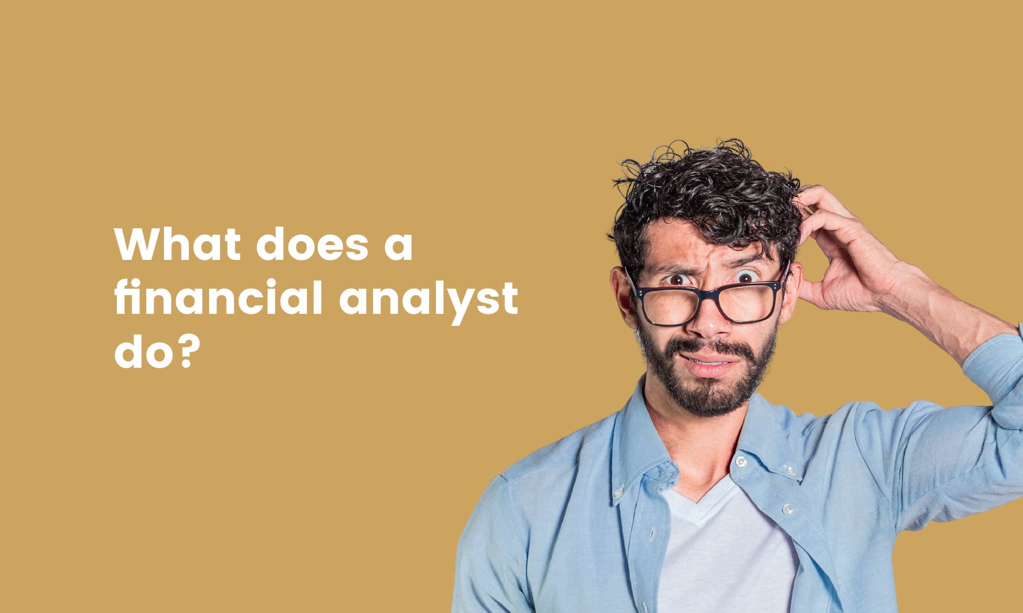 what does a financial analyst do