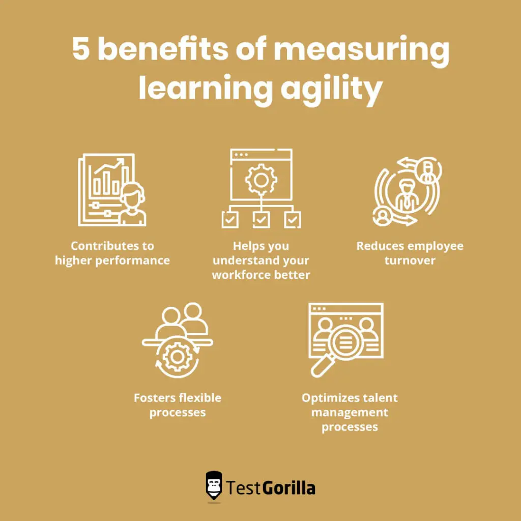 What is learning agility, and how do you measure it successfully? -  TestGorilla