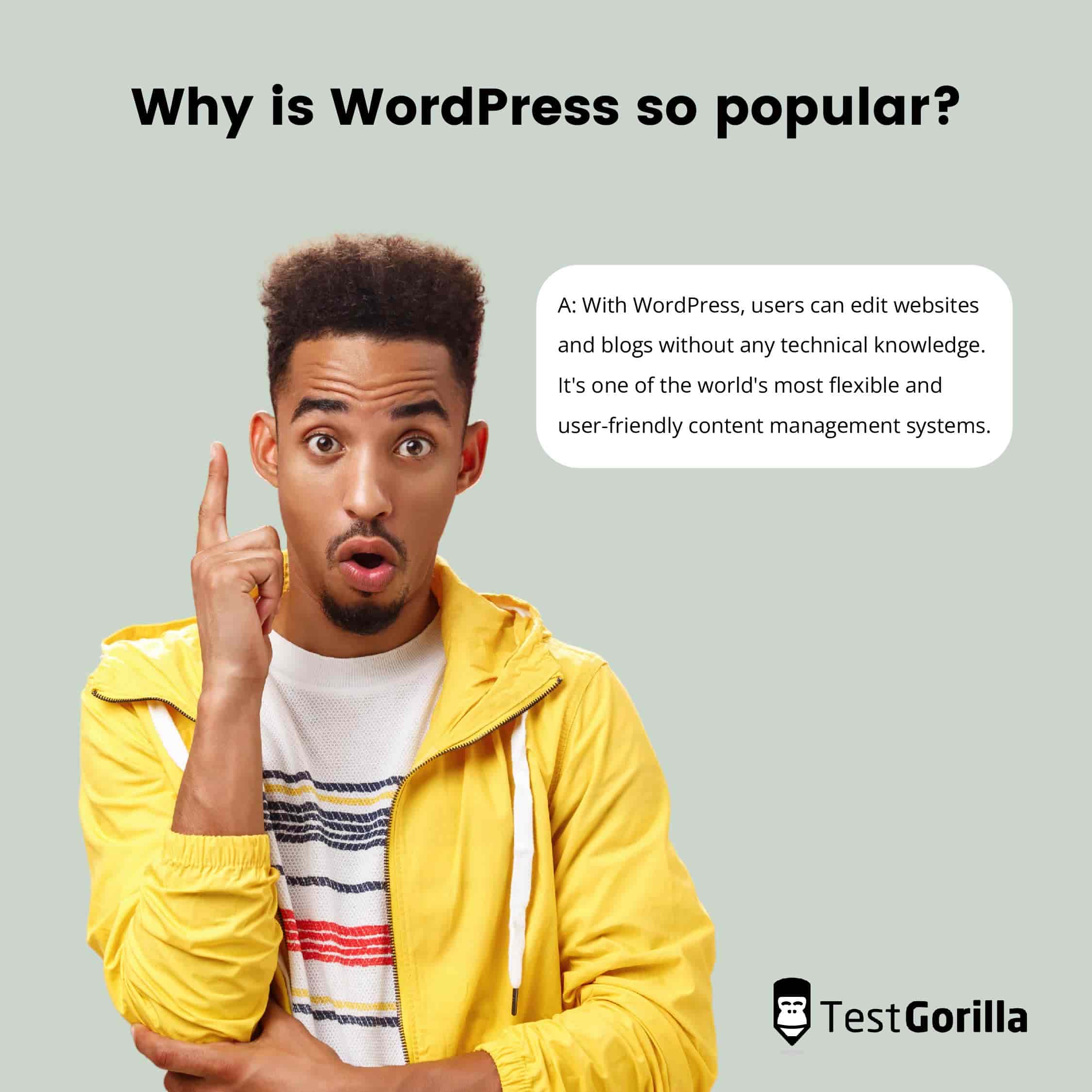 why is wordpress popular