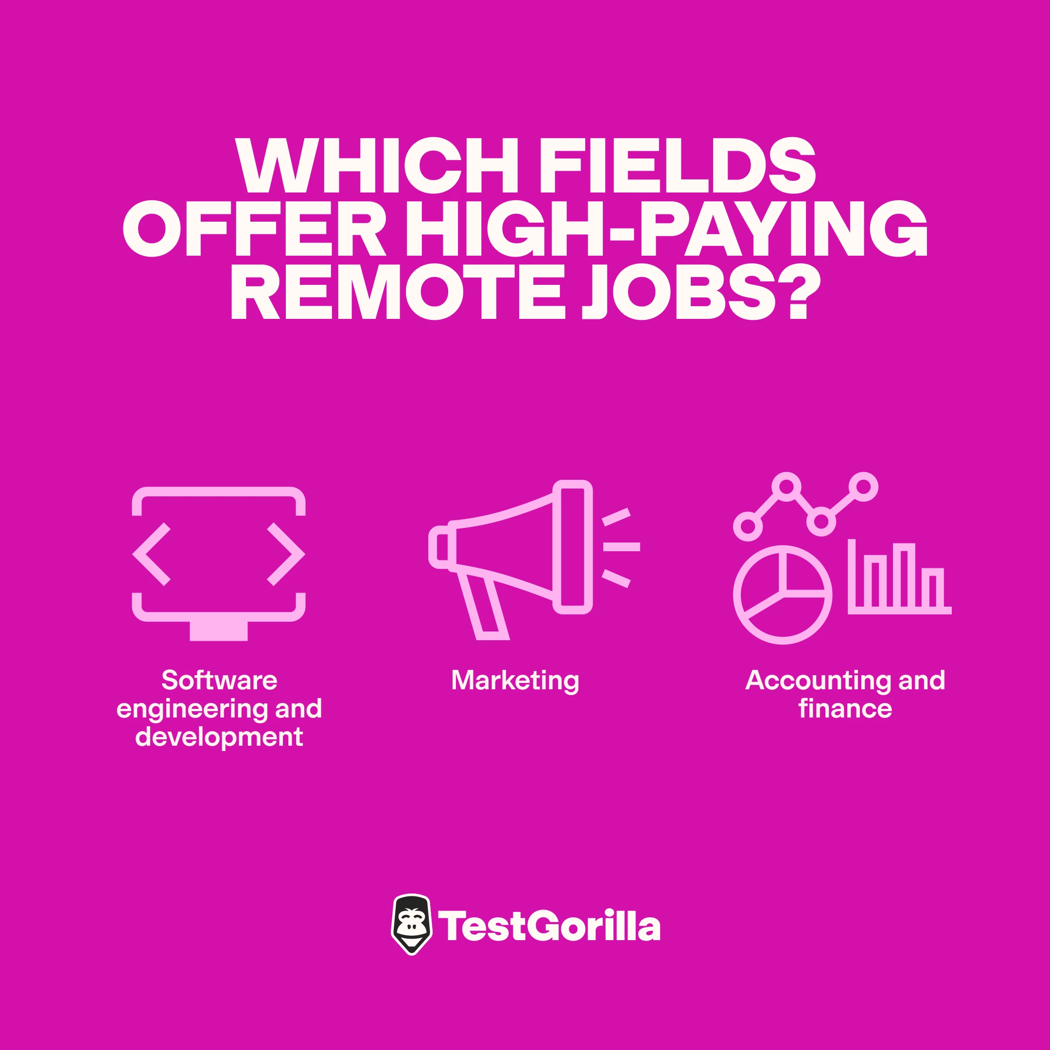Which fields offer high-paying remote jobs graphic