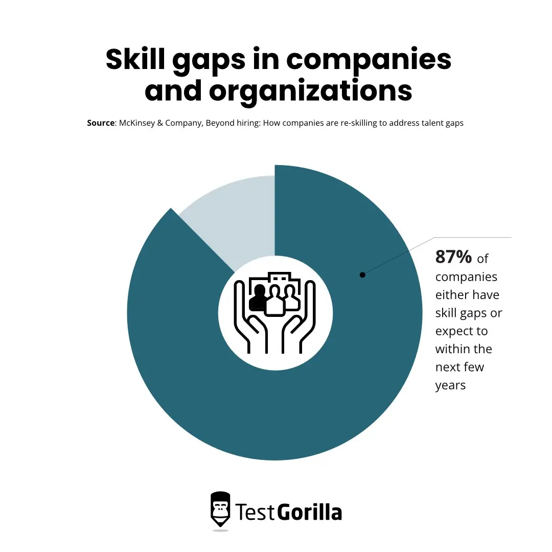 pie chart of skills gaps in companies and organizations