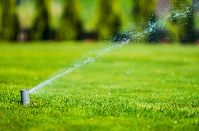 Demystifying A Healthy Lawn