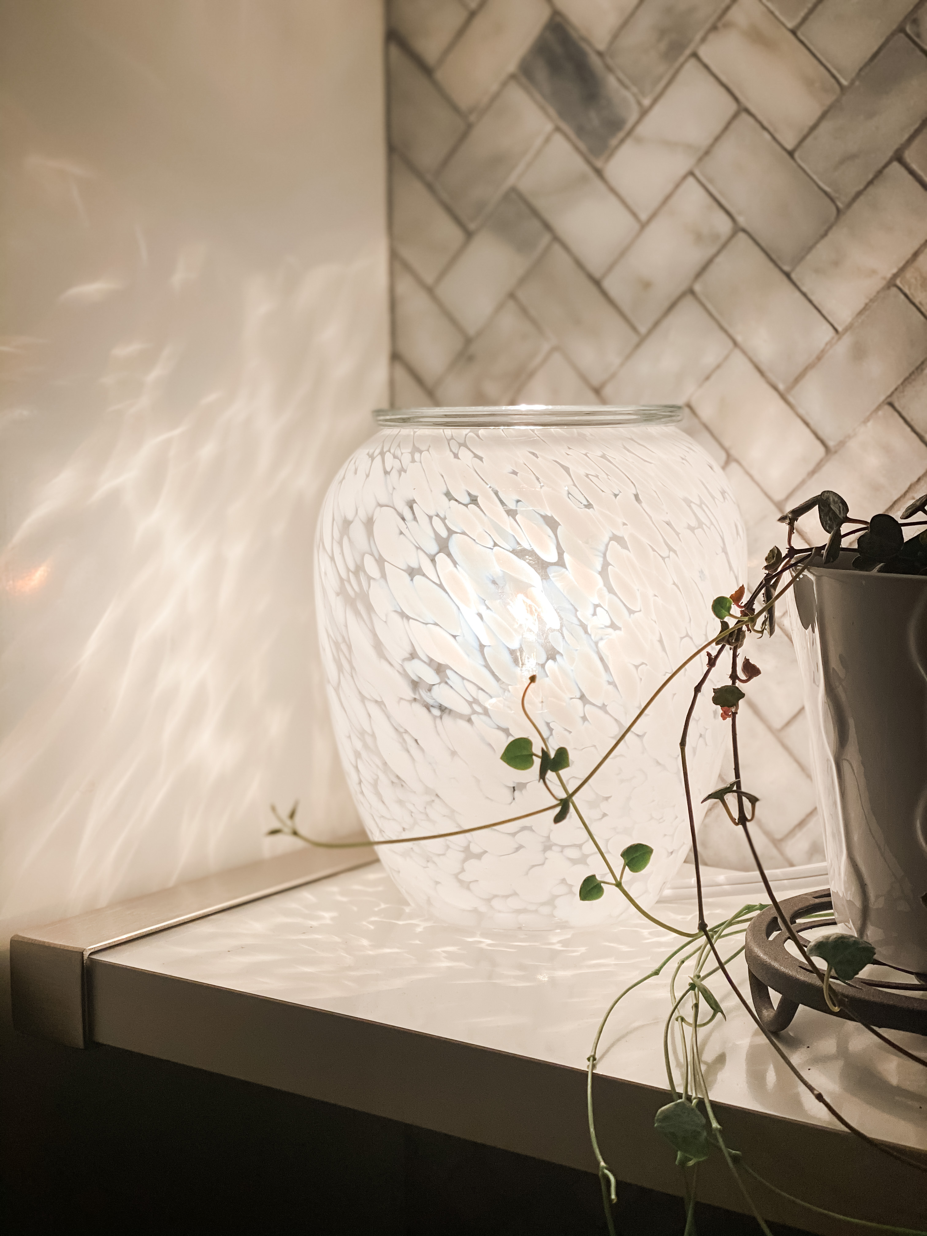 In the Clouds Scentsy warmer besides string of hearts plant