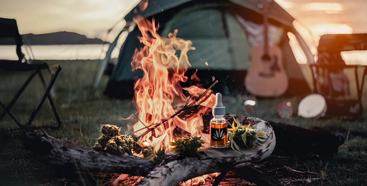 Wild Highs: Transform Your Camping Trips with Cannabis 