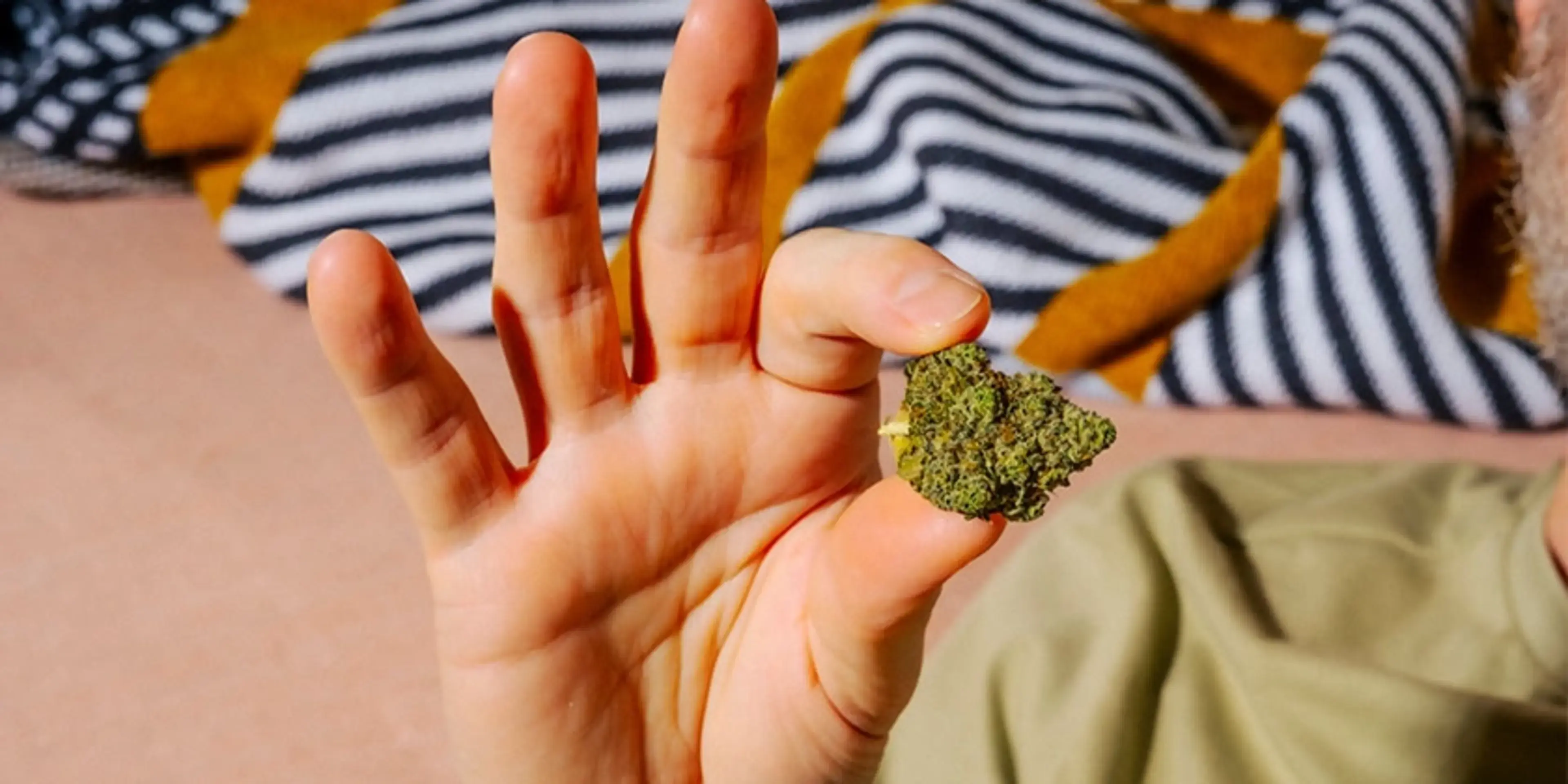 Article-Cards-TopRated-2