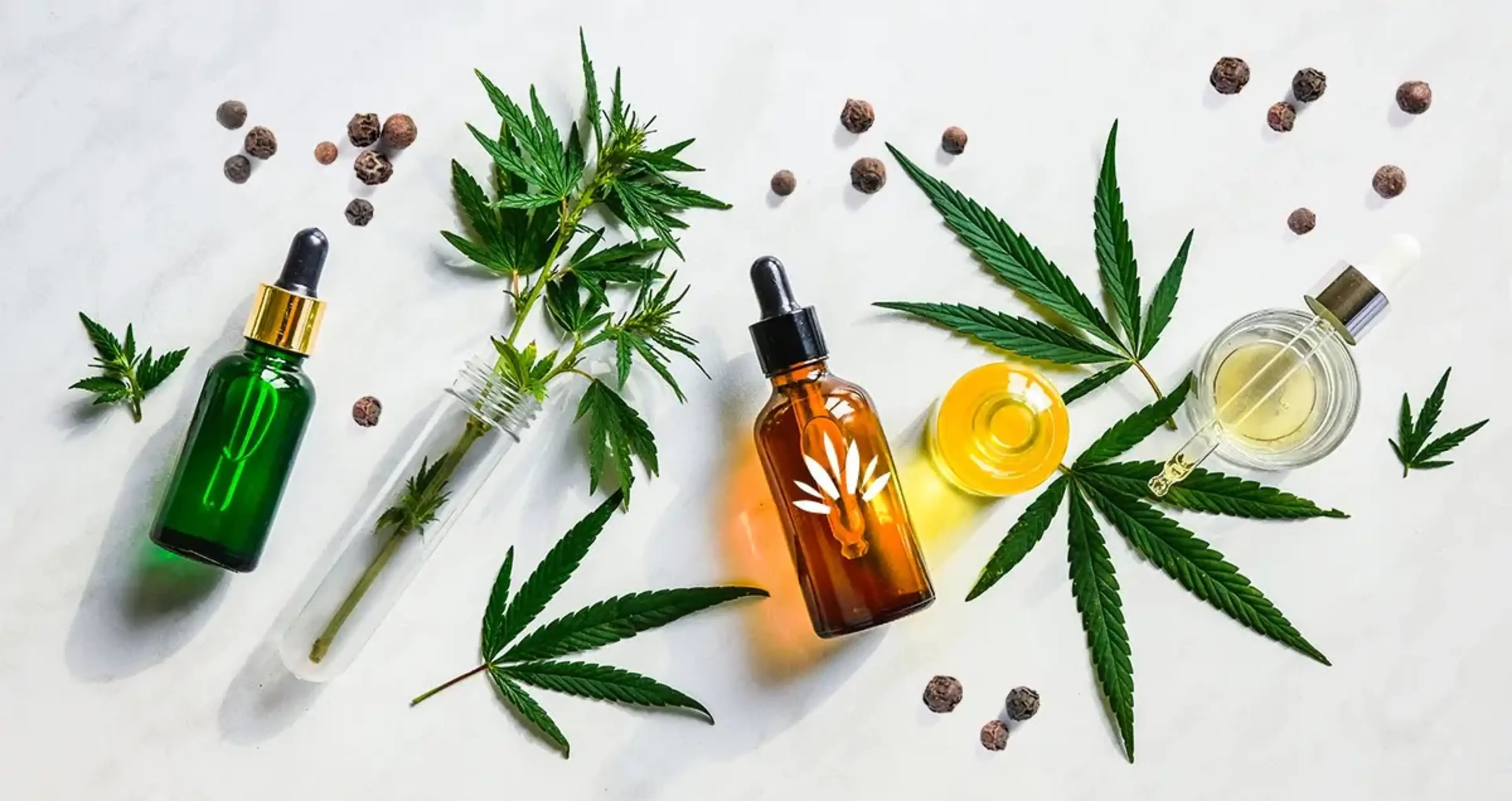 What is Caryophyllene Terpene? Aroma, Effects & Benefits