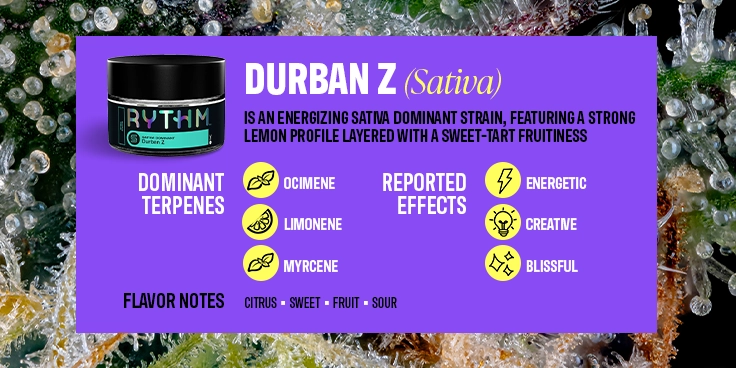 best cannabis vapes flavor profiles 2025 Top Cannabis Strains of 2025 & What to Watch in 2026
