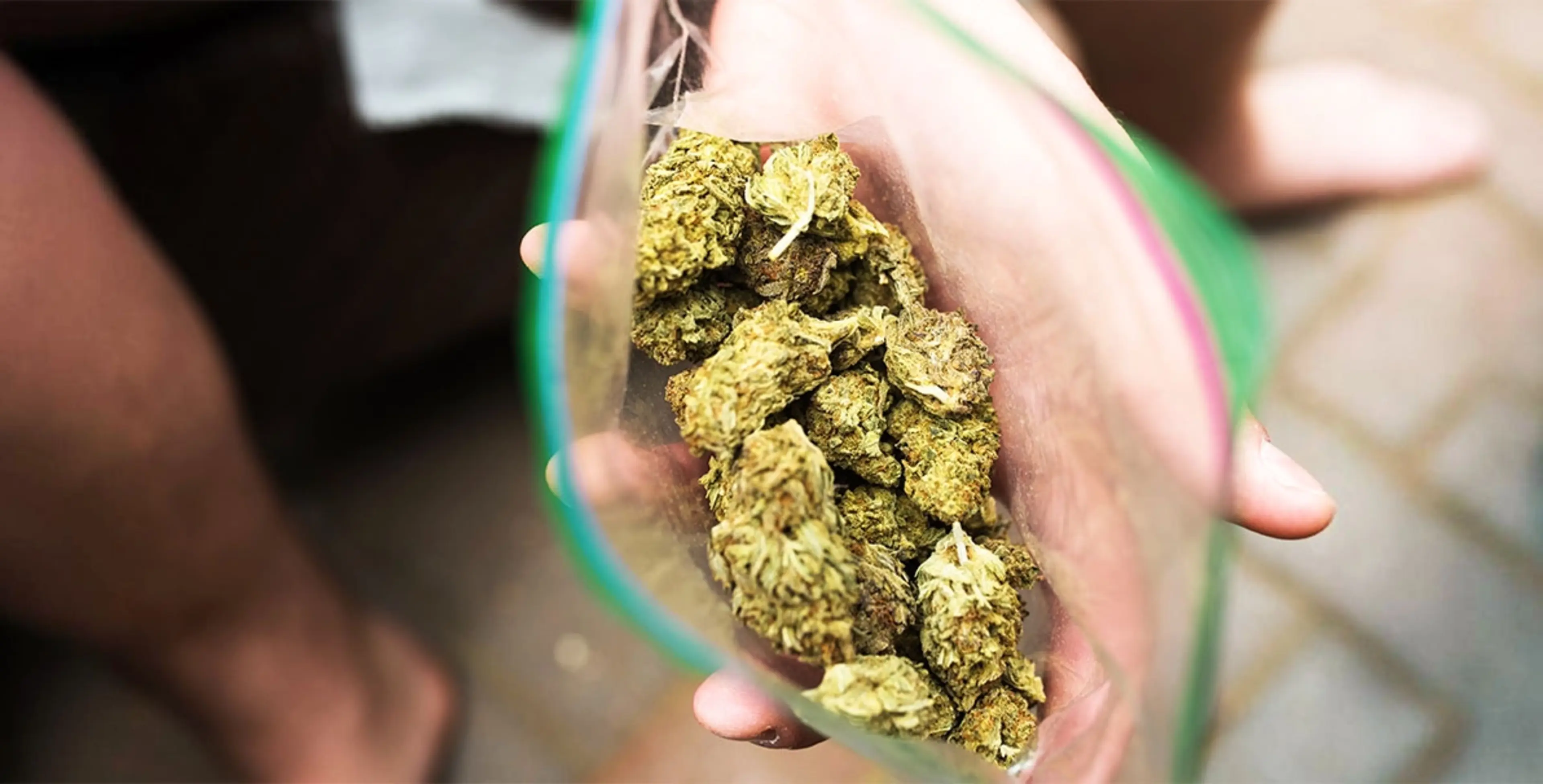 Cultivation-GTI Premium vs Blackmarket Cannabis