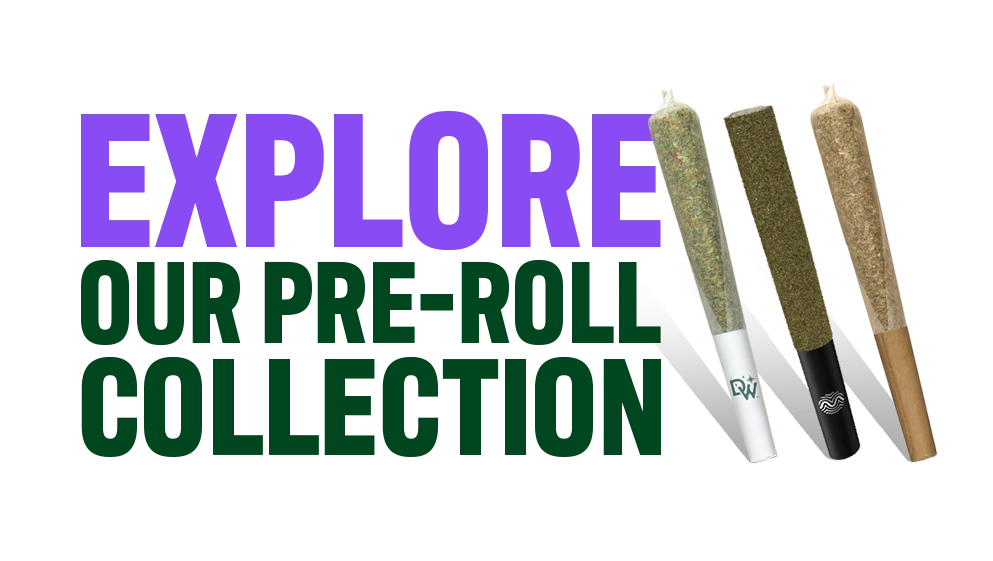 Guide to Pre-rolls_CTA-04_C-11-VariantB-Desktop_V001.webp