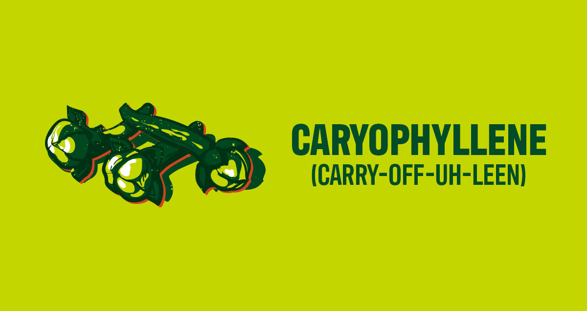 Caryophyllene