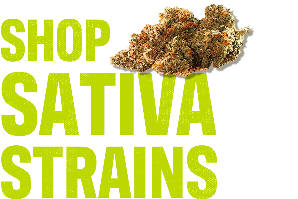 CTA_shop-Sativa-strains-Desktop_001.webp