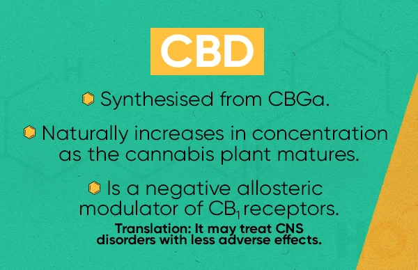 what-is-CBD