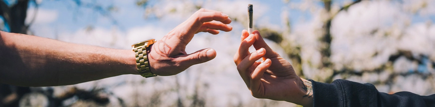 Uplifting Cannabis Strains & Products to Try This Spring 