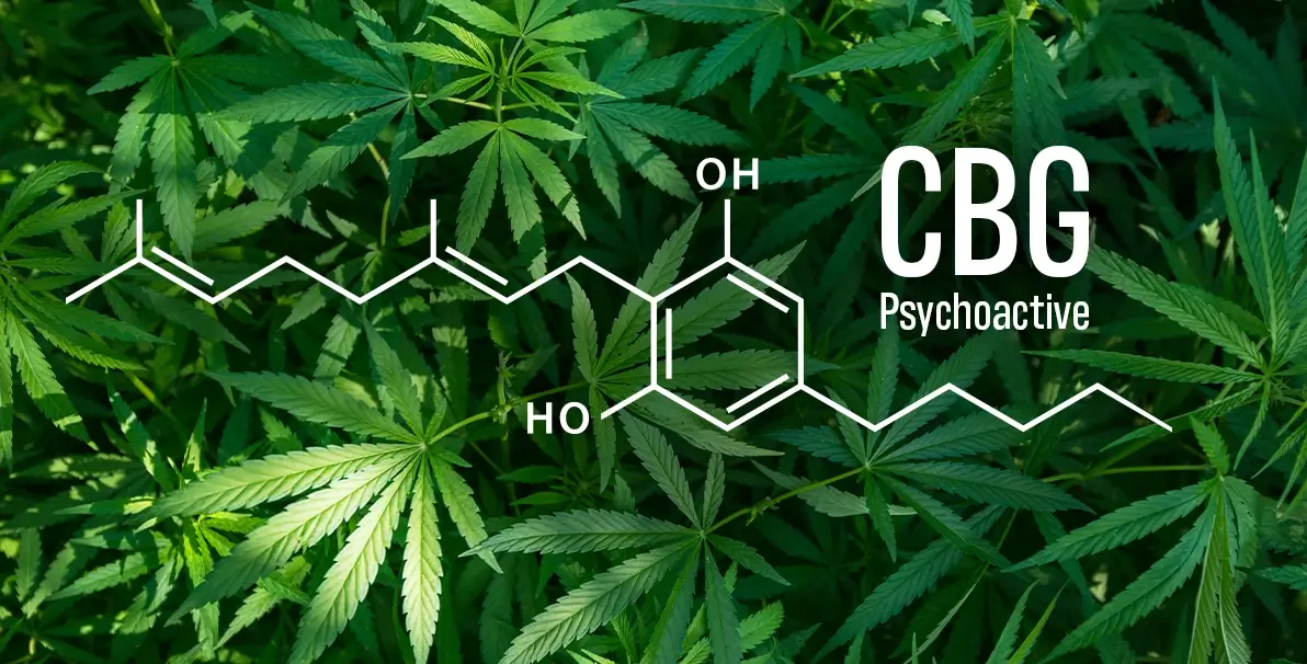 What Is CBG (Cannabigerol) 053124 BILL 1192x606 V002