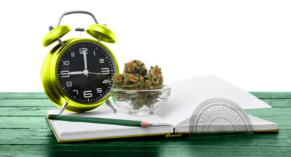 Cannabis Laws and Campus Policies 