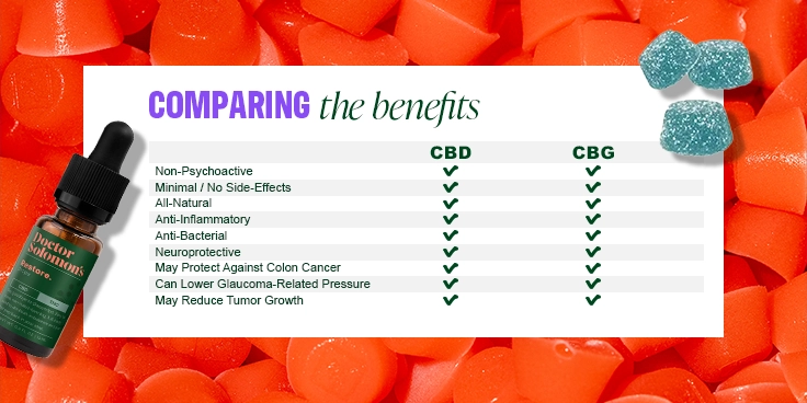 (update) What is CBG_C-45-VariantB-Desktop_V001 (2).webp