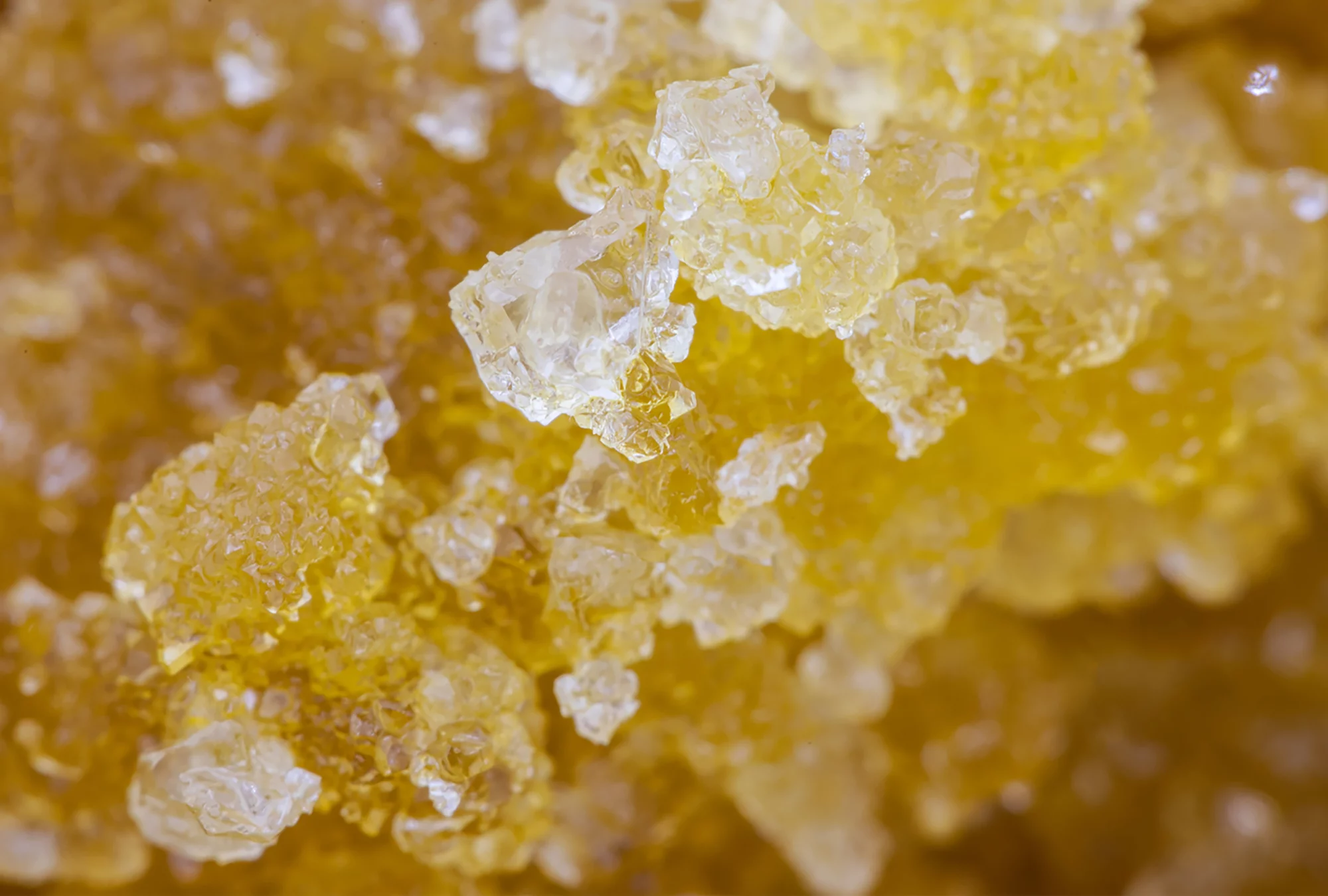 Similarities Of Live Resin And Rosin  