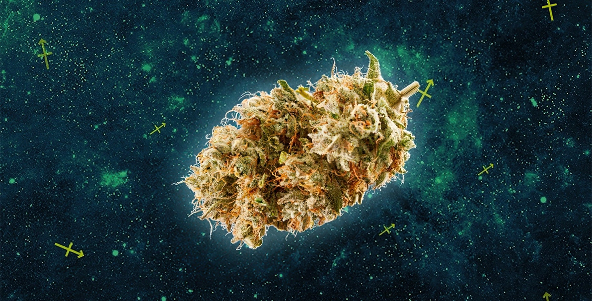 Sagittarius-Horoscope