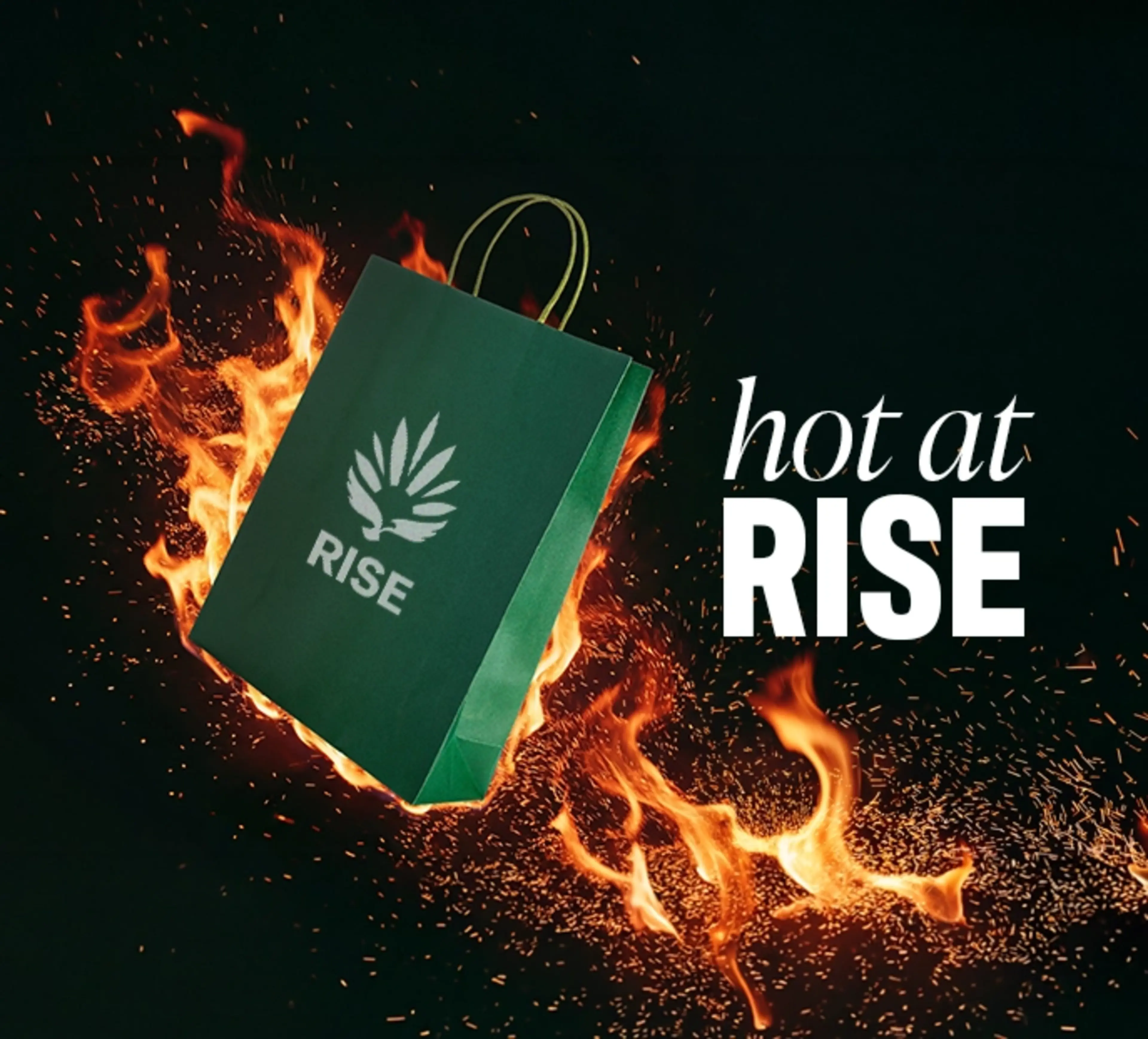 Hot RISE C-09-VariantA-Mobile V001 No description available