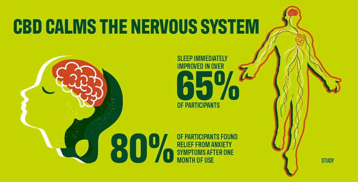Integrating Cannabis into Your College Life 