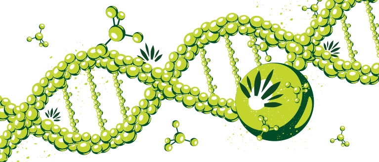 All-about-cultivation