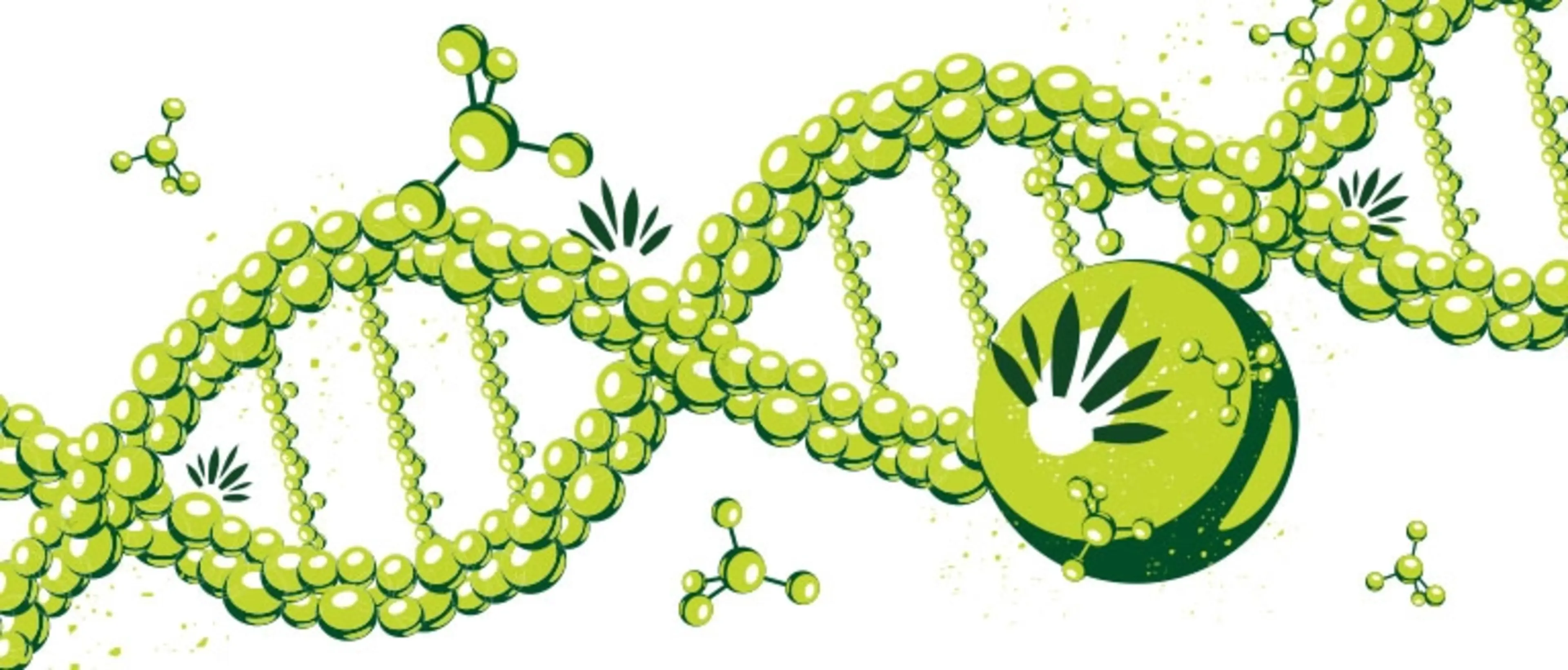 All-about-cultivation