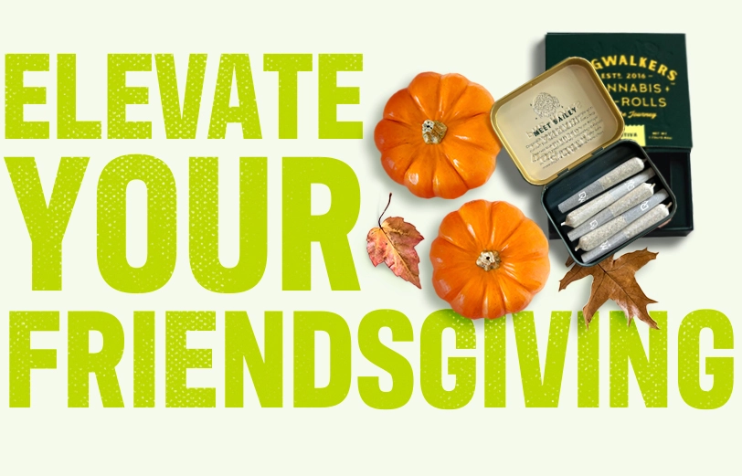friendsgiving-essentials-party-safely-elevate-your-friendsgiving-cta-desktop-v001.webp
