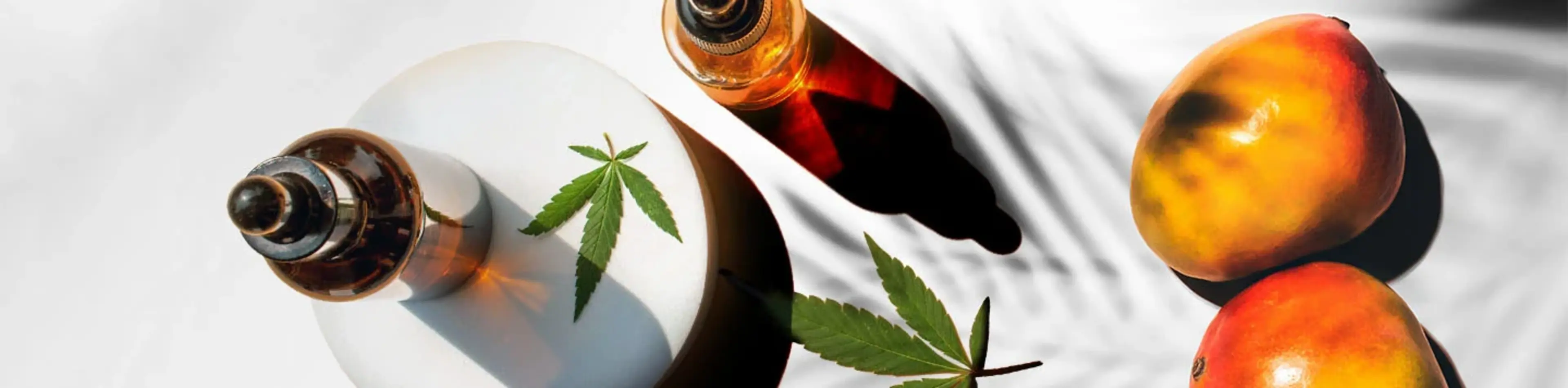 Myrcene Terpene Effects & Benefits