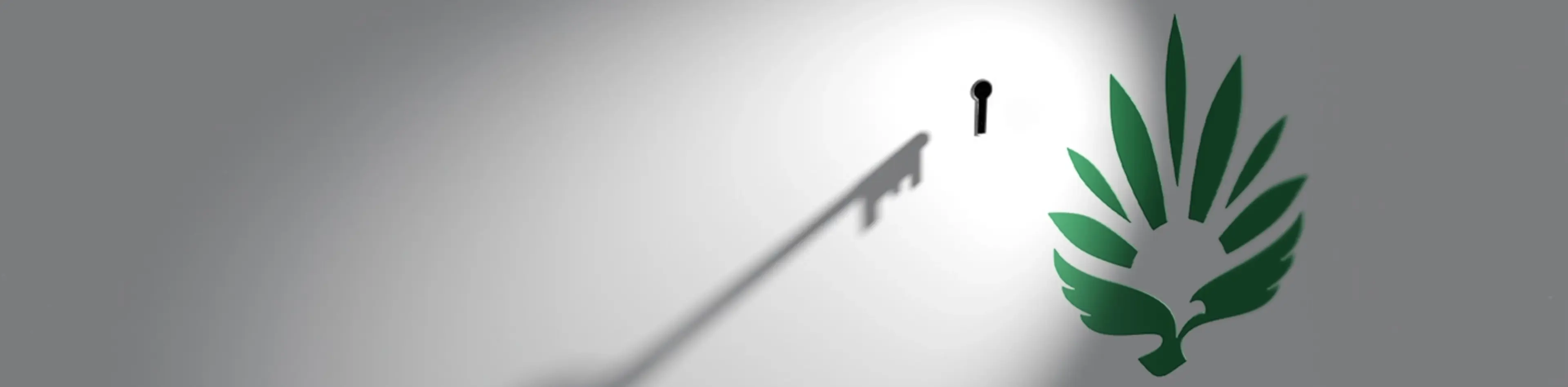 How To Store Cannabis and Keep it Fresh