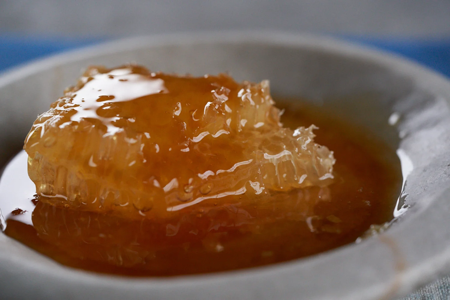 Canna-Honey Gallery-2