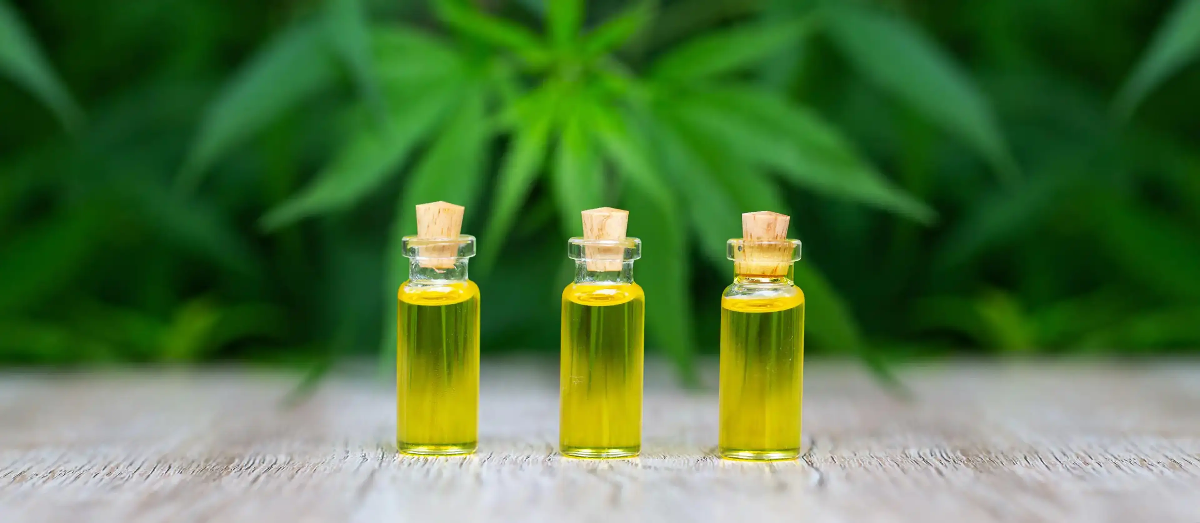 How to make canna oil - RISE Dispensaries