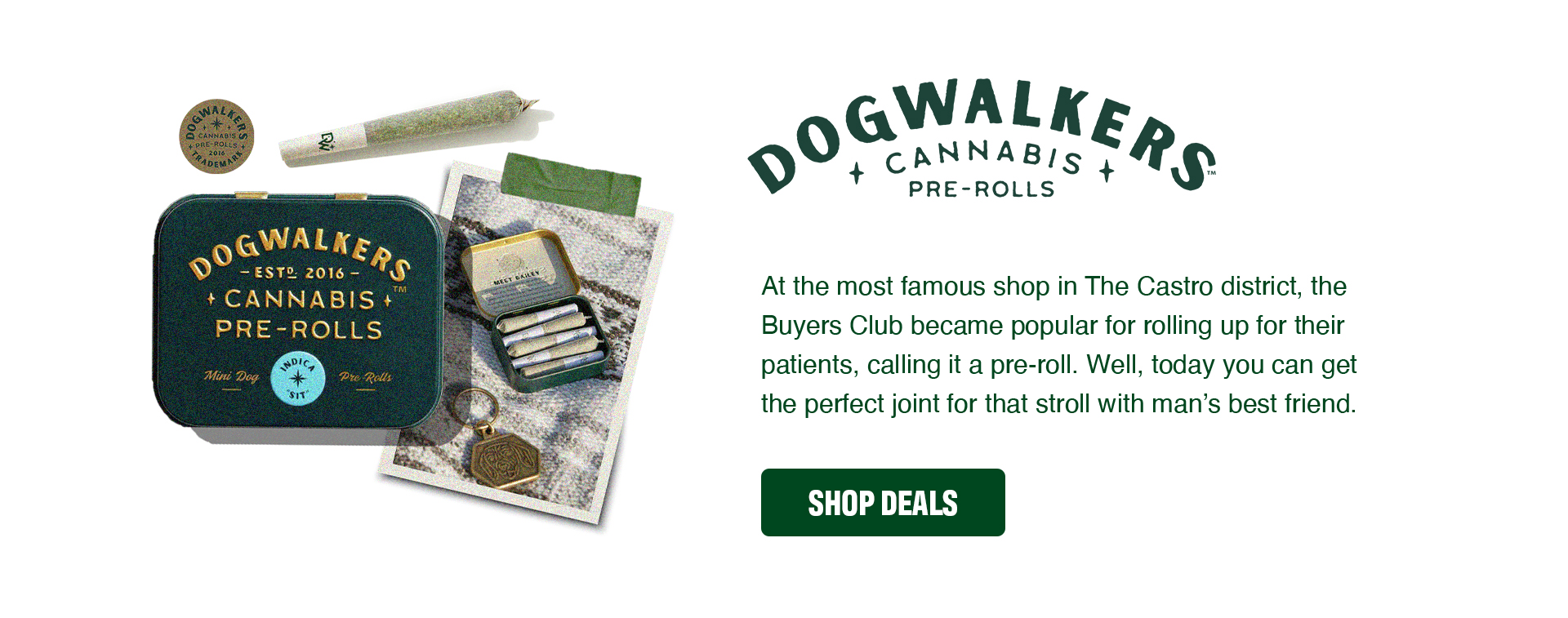 420-Blog-Dogwalkers-Desktop.webp