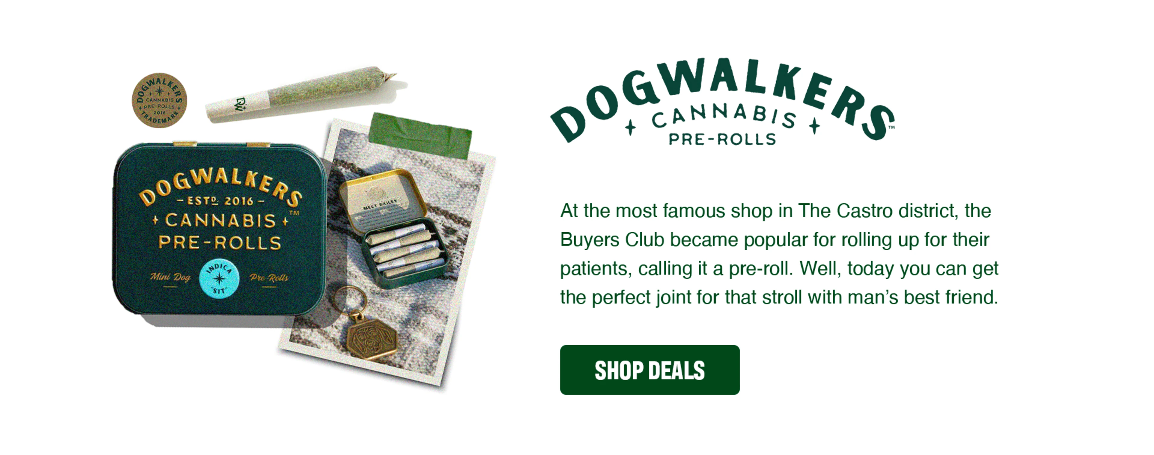 420-Blog-Dogwalkers-Desktop.webp