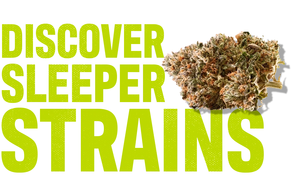 CTA_Meet-your-Budtenders_-CTA-Desktop_002.webp
