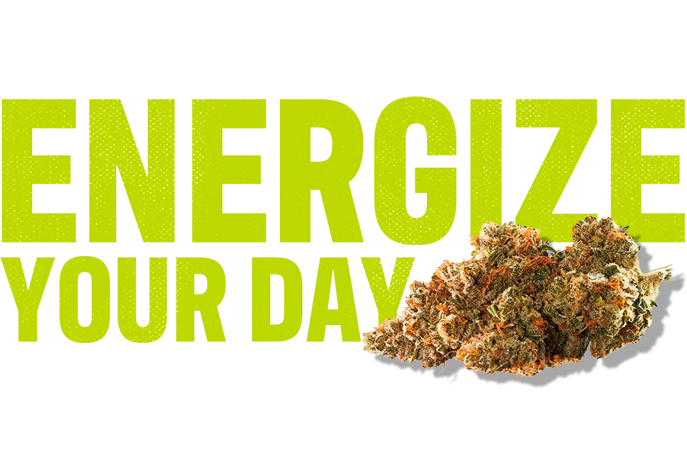 CTA_Cannabis-in-your-college-town_Desktop_003 (1).webp