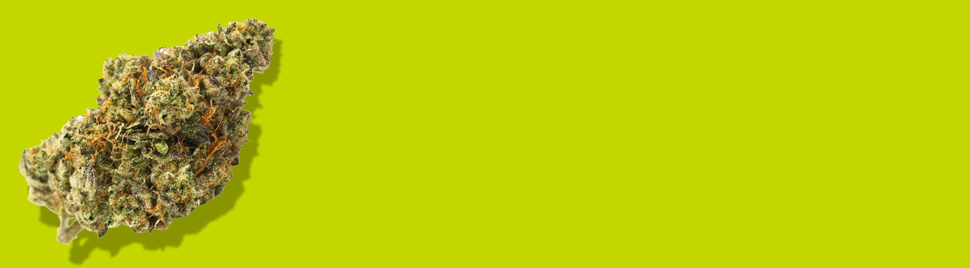 CBD uses and potential benefits