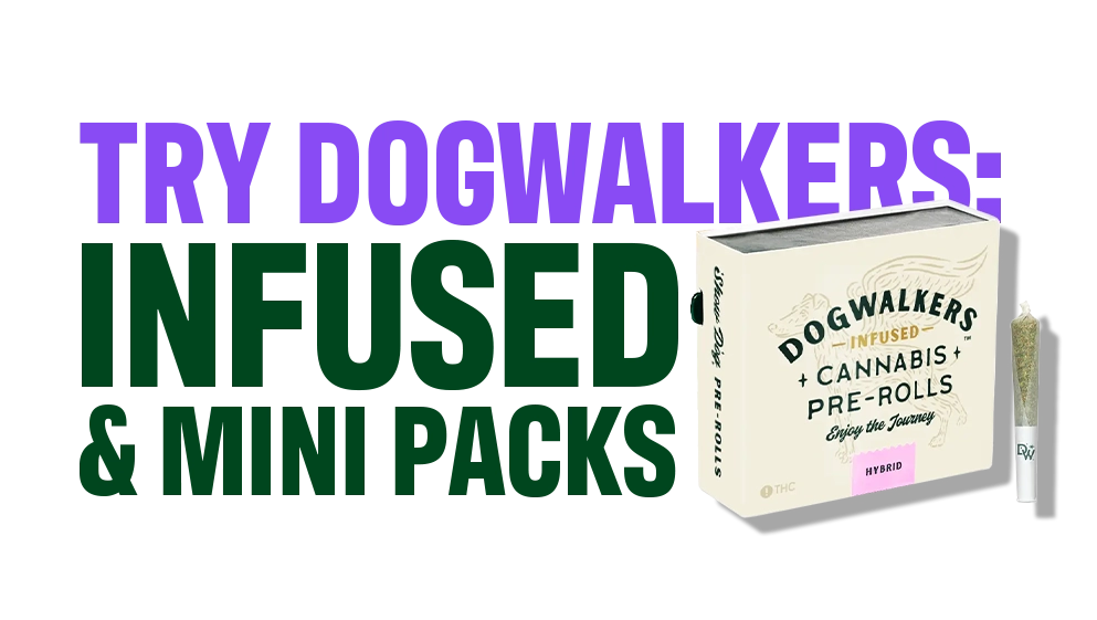 Guide to Pre-rolls_CTA-02_C-11-VariantB-Desktop_V001.webp