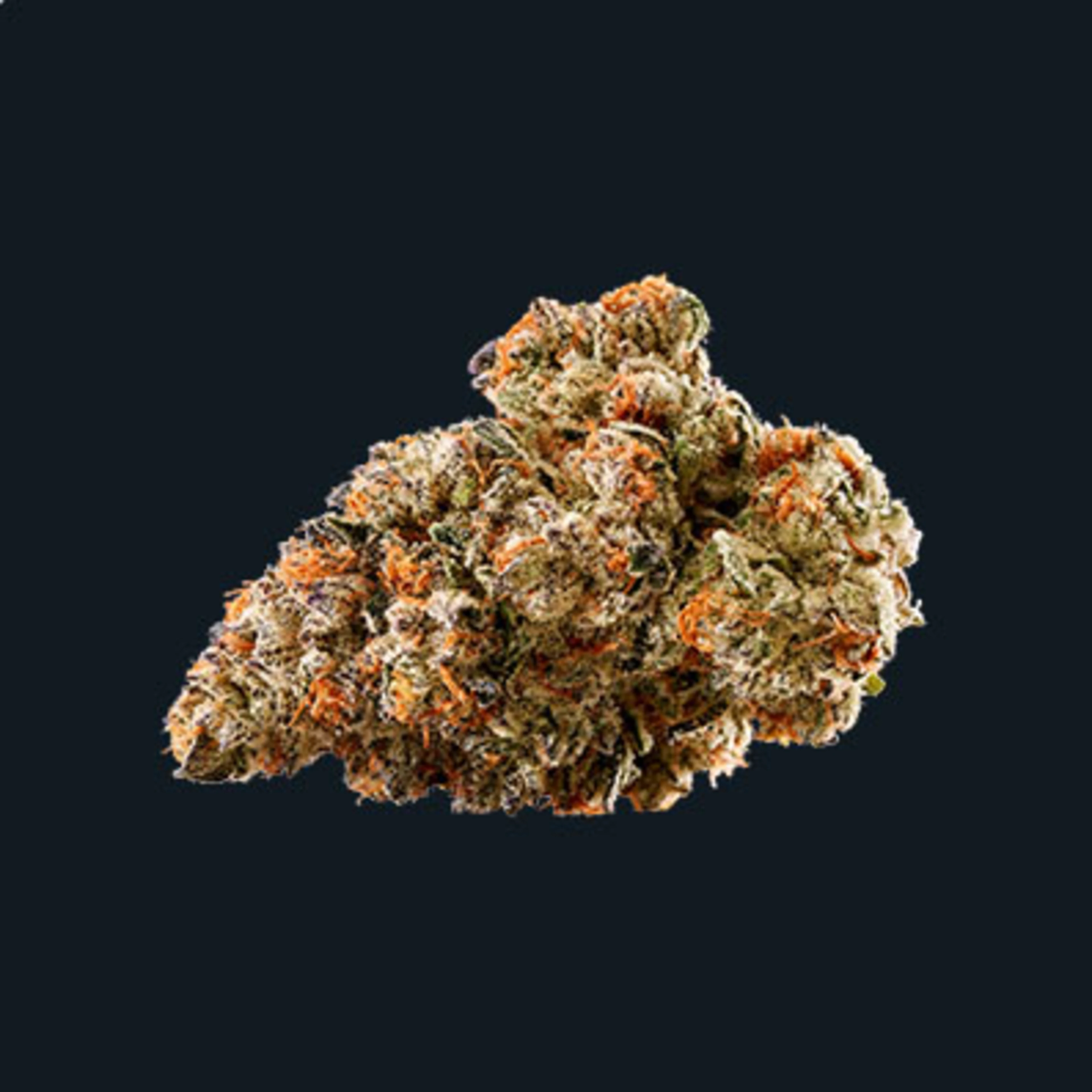 Mandarin-Cookies-highest-THC