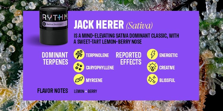 2025 Top Cannabis Products BIL-Jack Herer-06 C-45-VariantB-Desktop V001
