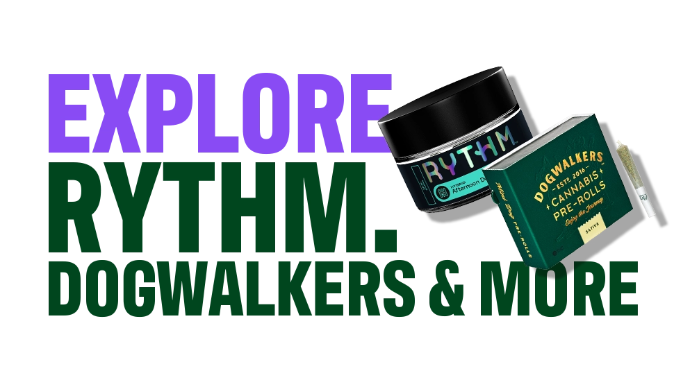 Cannabis for Pain_CTA 04_C-11-VariantB-Desktop_V001.webp